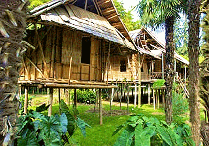 architecture_bambou_bamboo_construction_building_moso_guyane_guyana